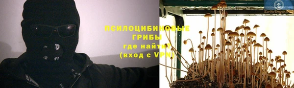 трава Алзамай