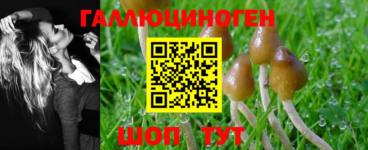 Тула  Галлюциногенные грибы Magic Shrooms  купить  сайты  Вход с VPN 